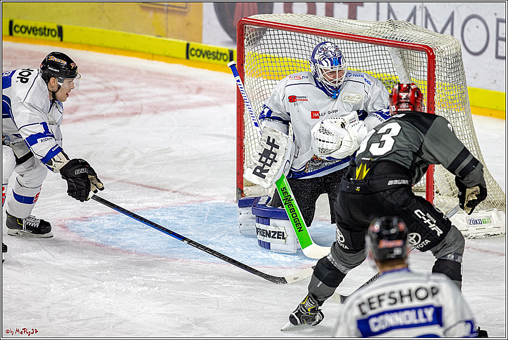DEL; Koelner Haie - Straubing Tigers, 02.12.2018